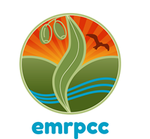 The Eastern Metropolitan Palliative Care Consortium